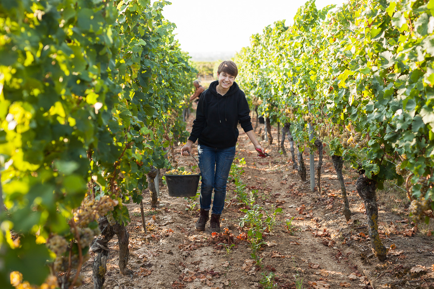 Eine junge, lächelnde Frau mit kurzen Haaren trägt eine schwarze Kapuzenjacke und eine blaue Jeans. Sie steht in einem sonnigen Weinberg, hält einen grauen Eimer mit frisch geernteten hellen Trauben in der Hand und schaut in die Kamera. Ihre andere Hand hält eine kleine Schere. Im Hintergrund sind die Reihen der Weinreben zu sehen.