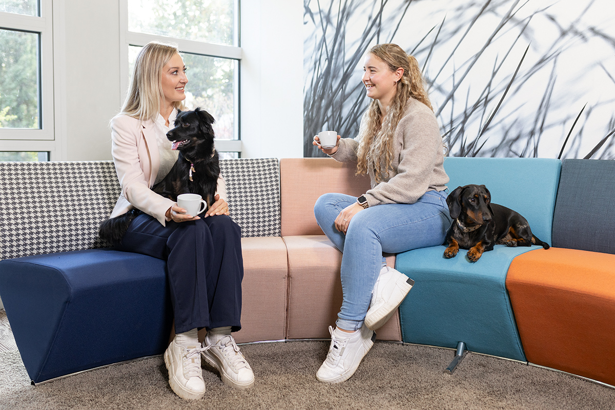 Zwei Frauen sitzen auf einem bunten, modularen Sofa in einem hellen Büro. Die blonde Frau links hält einen kleinen schwarzen Hund auf dem Schoß und eine weiße Tasse, während sie die Frau rechts anlächelt, die ebenfalls eine Tasse hält. Auf der rechten Seite liegt ein Dackel auf dem Sofa.